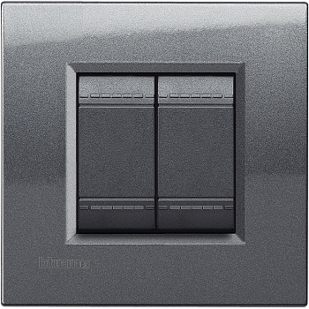 BT LL Сталь Рамка, универсальная, 2 модуля LNA4802AC