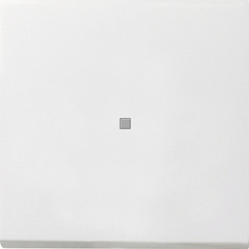 Gira Выключатель с клавишей 2-полюсный с окошком 0122112