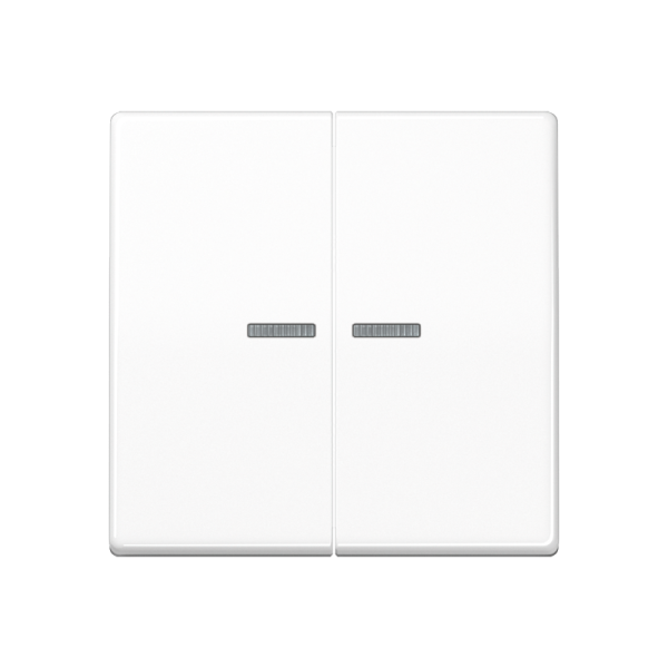 JUNG Клавиши для сдвоенного выключателя с окошком для подсветки термопласт белые AS591-5KO5BFWW