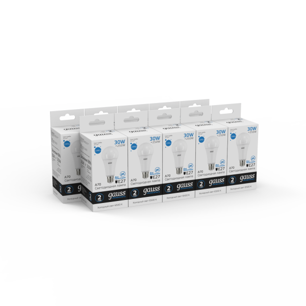 Купить Gauss Лампа Elementary A67 30W 2390lm 6500K E27 LED 73239