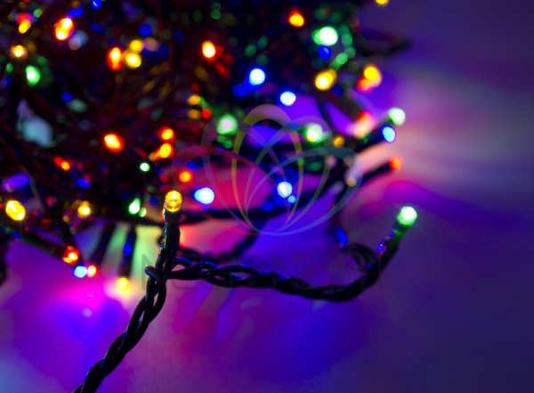 Купить NEON-NIGHT Гирлянда "LED ClipLight" 24V, 5 нитей по 20 метров, цвет диодов Мульти 323-509