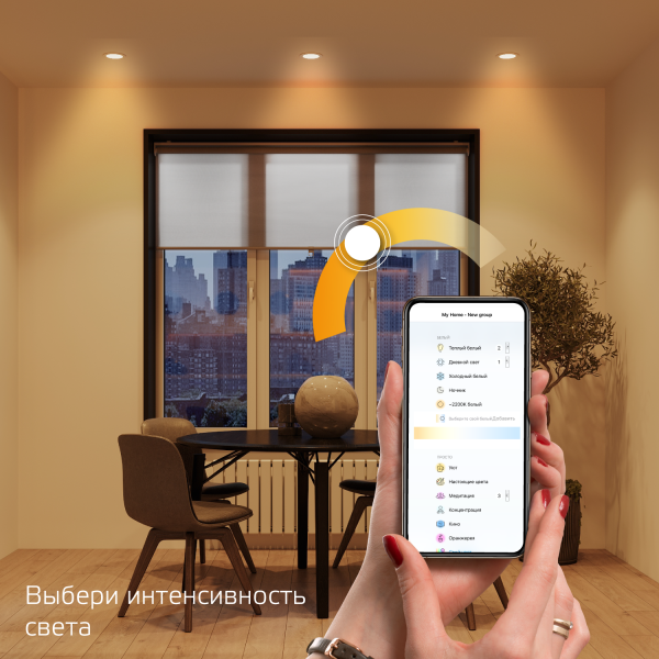 Купить Gauss Светильник даунлайт Smart Home 16W 1500lm 2700К 220-240V IP20 165*38мм диммируемый LED 2020122