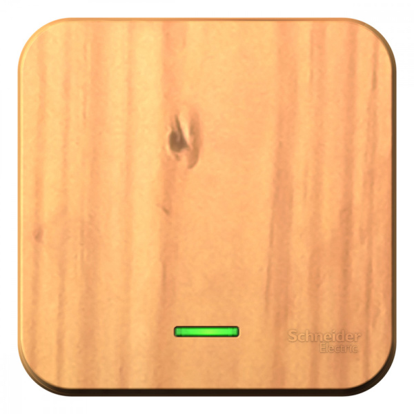 Systeme Electric Blanca наруж Ясень Выключатель 1-клавишный с подсветкой 10А,250B, изолир. пластина