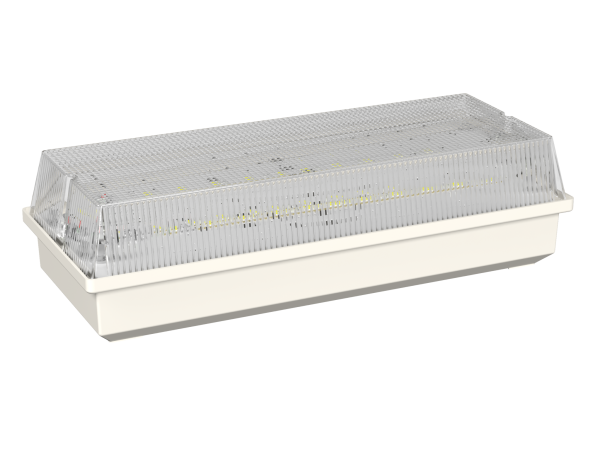 Купить Белый свет Аварийный светильник BS-UNIVERSAL-83-L1-INEXI3-FELS a17411