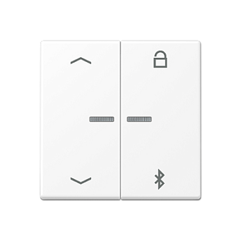 JUNG A Flow/A 550 Белый матовый Таймер универсальный Bluetooth «стрелки» A1751BFPBTWWM