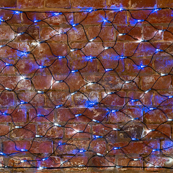 NEON-NIGHT Гирлянда "Сеть" 2х0,7м, черный ПВХ, 176 LED Белые/Синие 215-012