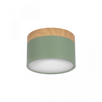 LOFT IT 10162 Green Накладной светильник Grape, шт