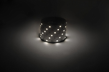 ЭРА Светодиодная лента LS5050 -7,2-30-12-4000K-IP20-1 year-5m дневной белый 5м