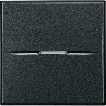 BT Axolute Антрацит Выключатель кнопочный 10А (1NC контакт) 2 мод 250 В~ HS4034/2