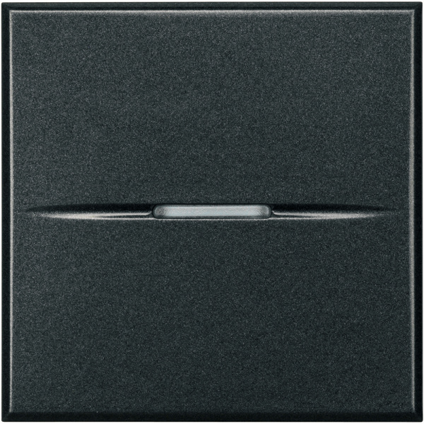 BT Axolute Антрацит Выключатель кнопочный 10А (1NC контакт) 2 мод 250 В~ HS4034/2