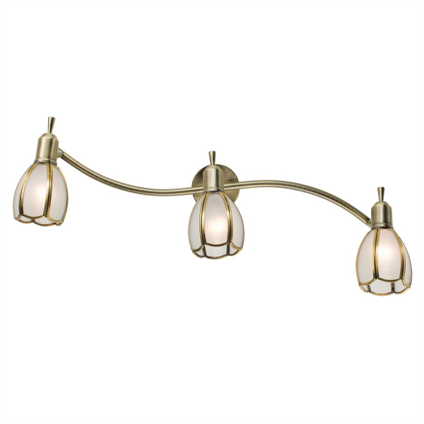 Citilux CL522631 Альтен-2 Бронза Светильник Наст.-Потол.