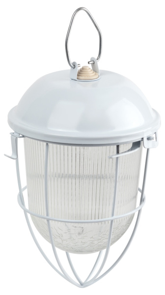 ЭРА Светильник НСП 02-100-003 с решеткой Желудь сталь / стекло IP54 E27 max 100Вт 170х300 белый