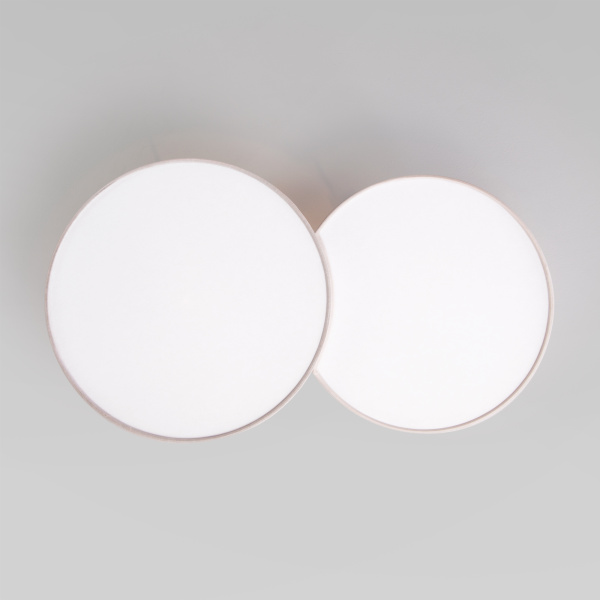 Купить Eurosvet 6590 Светильник потолочный Mona Nature a058064