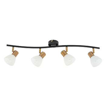 Arte Lamp FALENA Светильник потолочный лампа накаливания A3117PL-4BK