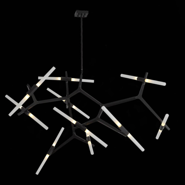 Купить ST LUCE SL947.402.20 Люстра потолочная  Черный/Белый G9 20*40W