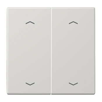 JUNG Клавиши для сдвоенной кнопки BCU светло-серые LS995MPLG