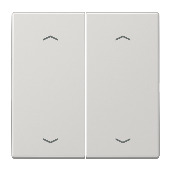 JUNG Клавиши для сдвоенной кнопки BCU светло-серые LS995MPLG