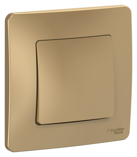 Купить Systeme Electric Blanca внутр Титан Выключатель 1-клавишный, 10А, 250B