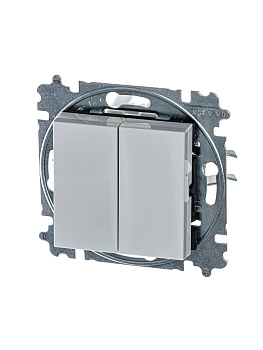 ABB EPJ Levit серый / белый Переключатель 2-клавишный 2CHH595245A6016