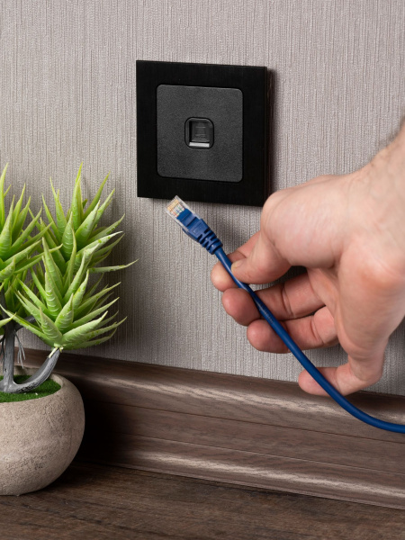 Купить EKF PROxima Стокгольм Черный Розетка RJ-45