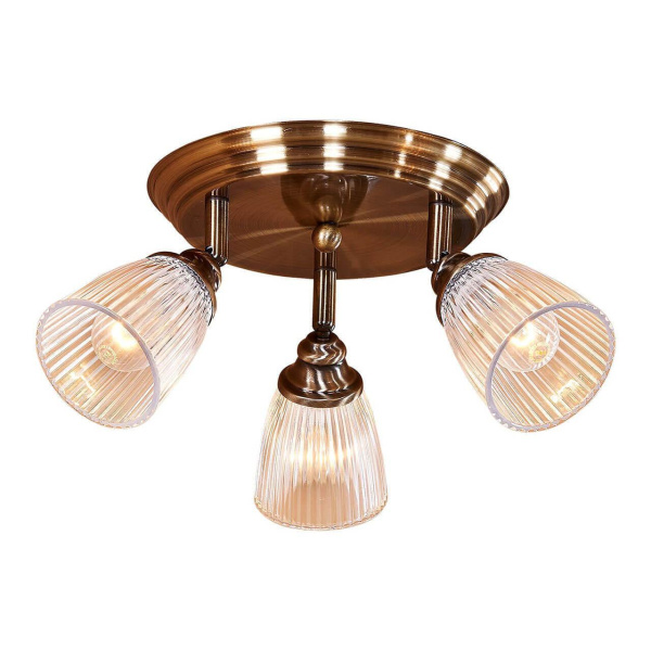 Citilux CL539631 Виндзор Светильник Наст.-Потол.