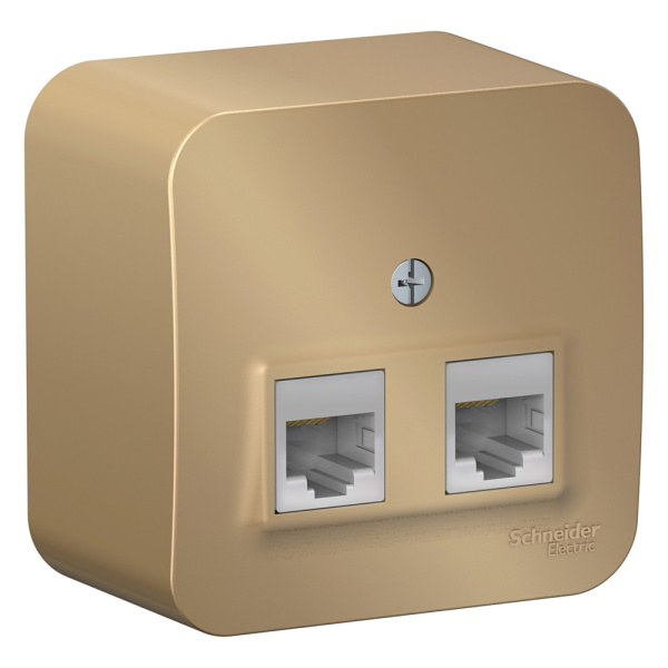 Systeme Electric Blanca наруж Титан Розетка 2-ая компьютерная RJ45, кат.5E, изол. пластина