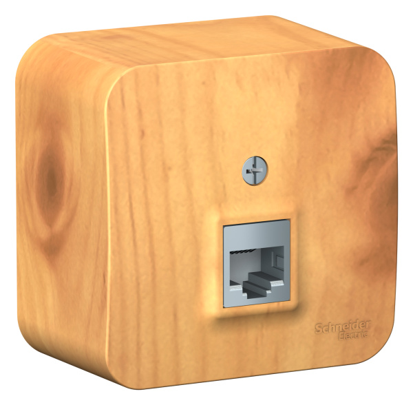 Купить Systeme Electric Blanca наруж Ясень Розетка ТЛФ RJ11 изолир. пластина