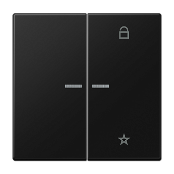 JUNG LS 990 Черный матовый Центральная плата универсальная LS1701SWM