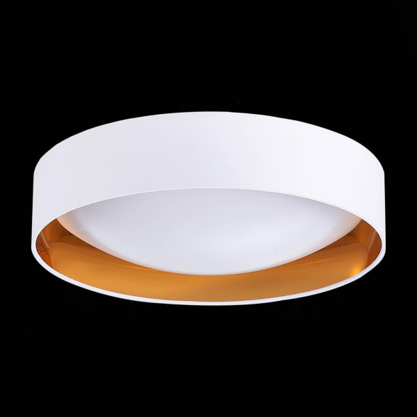 Купить Evoluce SLE201122-01 Светильник потолочный Белый, Золото/Белый LED 1*24W