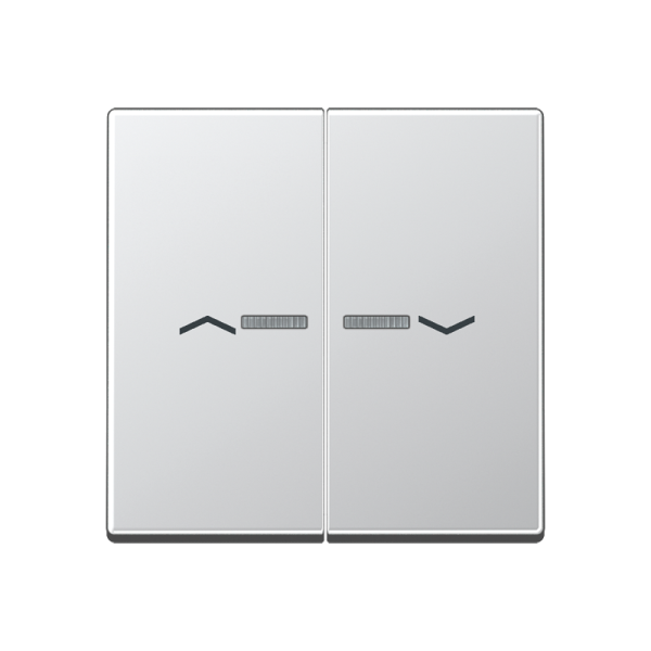 JUNG Клавиши для сдвоенной кнопки BCU, алюминий A595KO5PAL