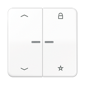 JUNG Центральная плата для вставок управления двигателями, белый CD1701PWW