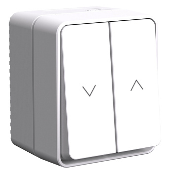 Systeme Electric AtlasDesign Profi54 Белый Выключатель 2-клавишный для жалюзи, 2хсх.4