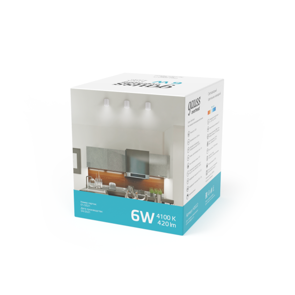 Купить Gauss Светильник Overhead накл цил 6W 420lm 4100K 170-240V IP20 68*75мм белый с расс LED HD022