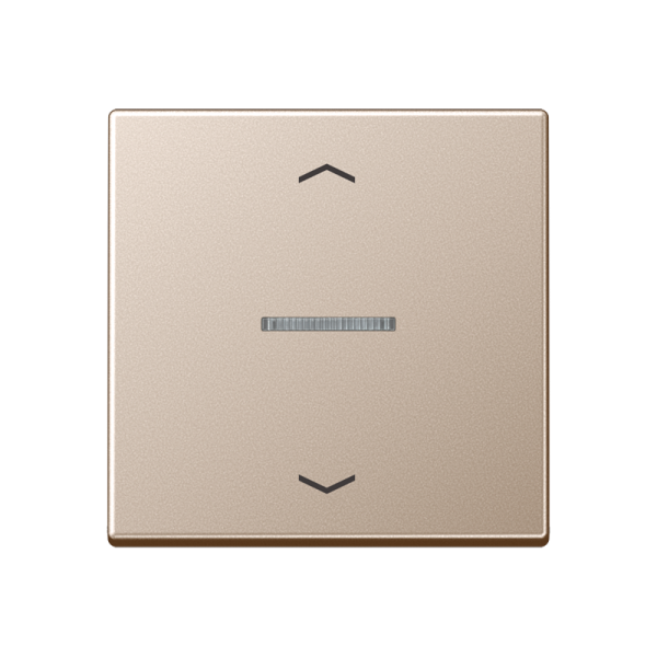 JUNG Клавиша для выключателя A590KO5PCH