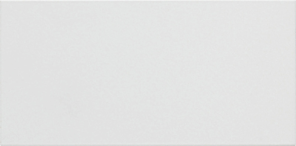 Gira Накладка кнопки вызова 2-местн. System 106 5542902