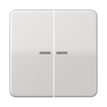 JUNG CD 500/CD plus Светло-серая Клавиша 2-ая с/п CD595KO5LG