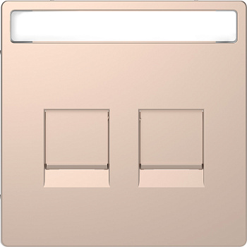 SE Merten D-Life Шампань Накладка центральная для 2-х модульных разъемов MTN4564-6051