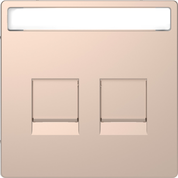 SE Merten D-Life Шампань Накладка центральная для 2-х модульных разъемов MTN4564-6051