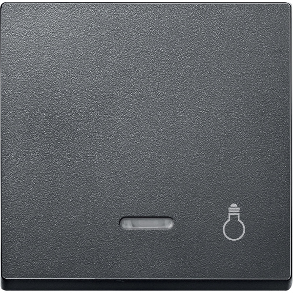 SE Merten SM Клавиша со световой индикацией, «свет» (MTN430914)