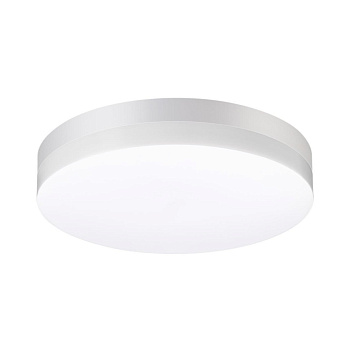 Novotech 358885 STREET NT22 белый Светильник ландшафтный светодиодный IP54 LED 4000К 30W 220V OPAL