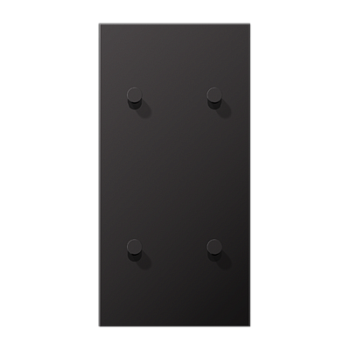 JUNG LS1912 Dark Центральная плата, 2 поста, для вертикальной установки, тумблеры 2+2,конус; метал. исполнение AL12-25DK01