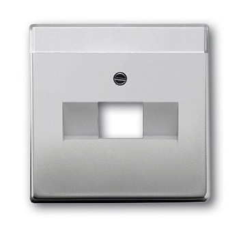 ABB BJE Сталь Накладка 1-й ТЛФ/Комп розетки наклонной (мех 213/16) 2CKA001710A3763