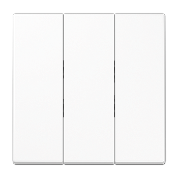 JUNG Белая Клавиша 3-ая для трёхклавишного переключателя арт. 5306EU LS993BFWW