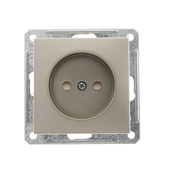 SE Wessen 59 Шампань Розетка б/з RS16-151-4-86