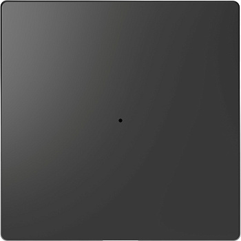 SE Merten D-Life Антрацит PlusLink Клавиша 1-ая без символов MTN5210-6034