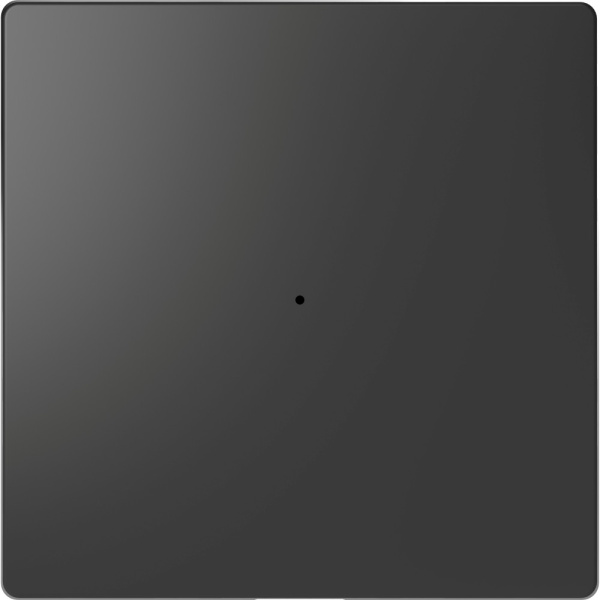 SE Merten D-Life Антрацит PlusLink Клавиша 1-ая без символов MTN5210-6034