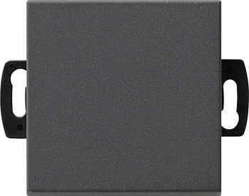 Gira Кнопочный выключатель для малого напряжения до 42 В 013828