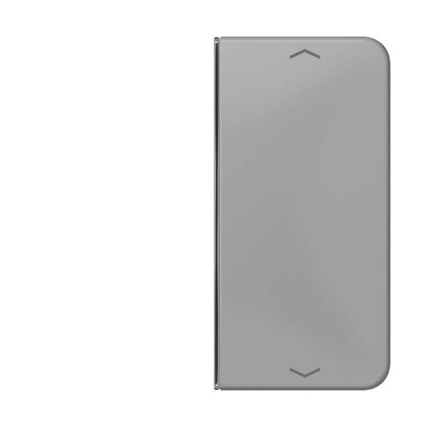 JUNG клавиша с символом для 2-клавишного пульта KNX, серая, для серии CD CD402TSAPGR