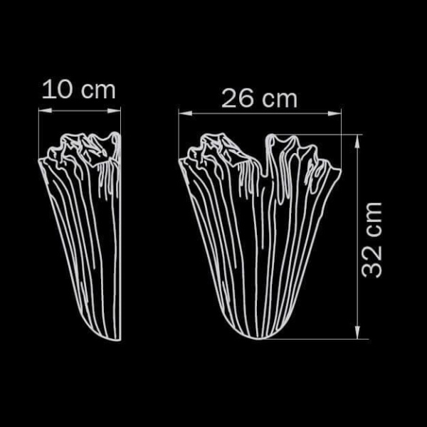 Купить Lightstar Бра Murano Lightstar 601610