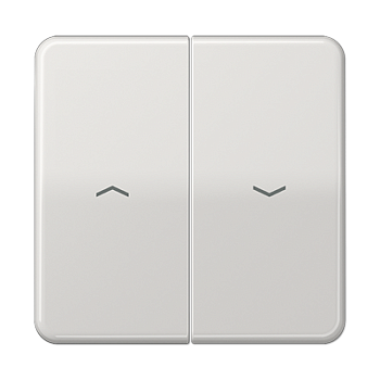 JUNG CD Светло-серая Клавиша 2-ая жалюзийная ударопрочная CD595PBFLG